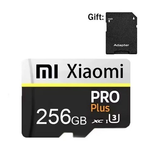 Micro card 256 classe - gb,