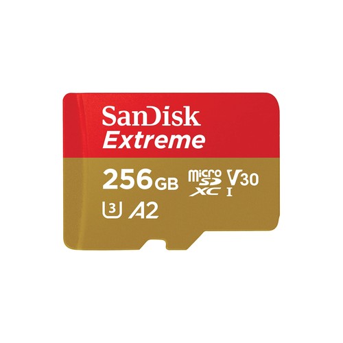 Sandisk extreme 256gb scheda - extreme,