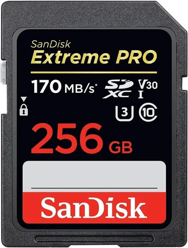 Scheda memoria sandisk - scheda,