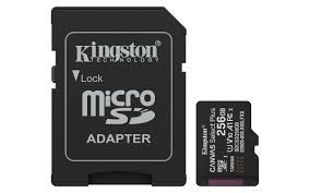 Kingston micro 256gb cl10 - micro,