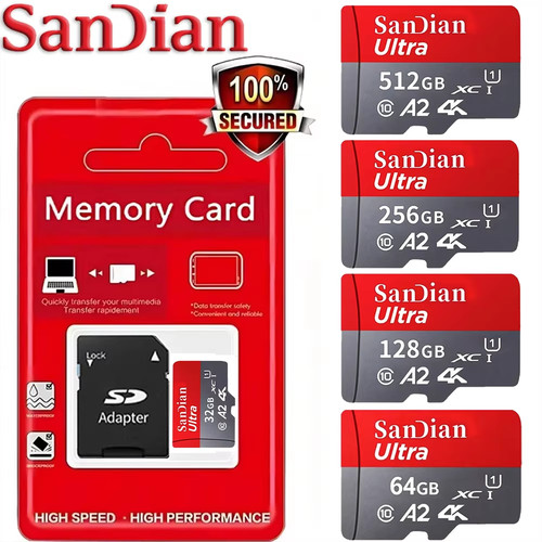 Scheda memoria sandian - scheda,