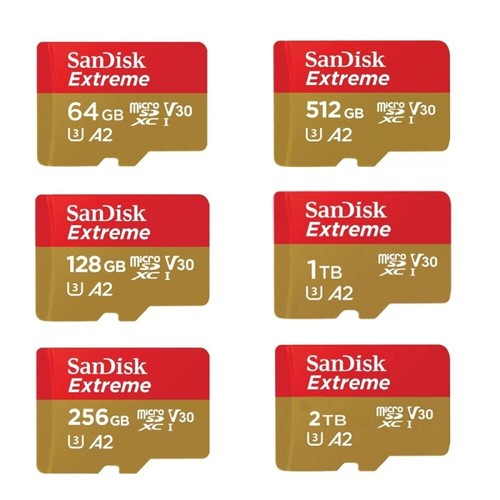 Scheda memoria 256 gb - memoria,